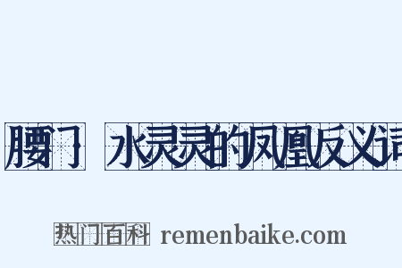 腰门·水灵灵的凤凰反义词是什么意思的图片